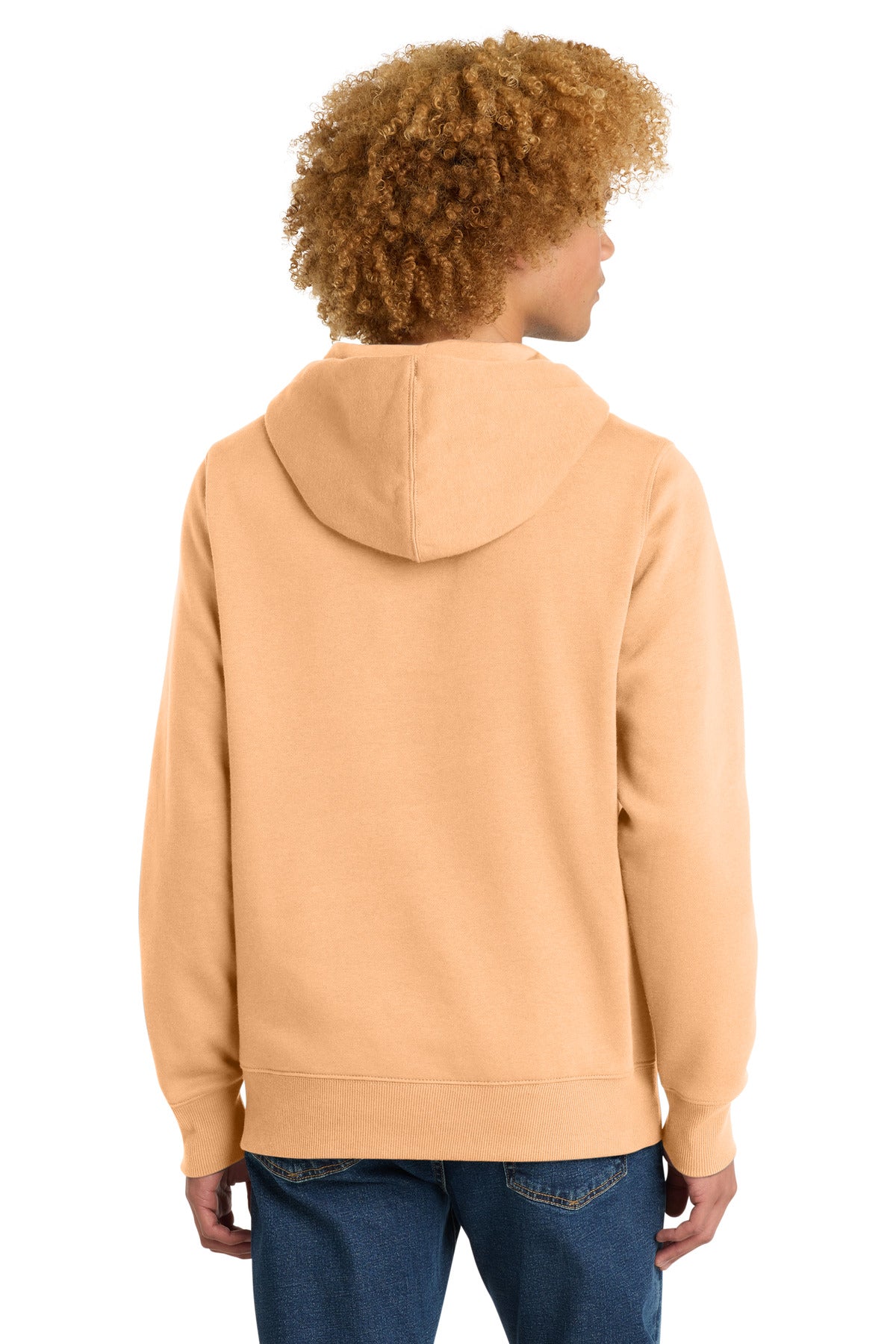 District  Perfect Weight  Fleece Hoodie DT1101