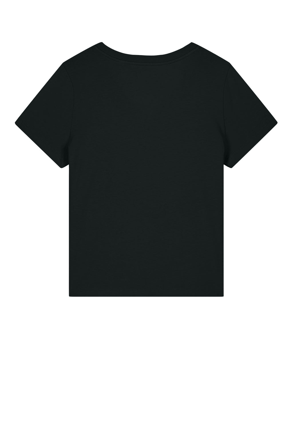 Stanley/Stella Women's Stella Isla V-Neck Tee SXW032